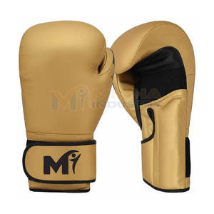 Gants de boxe axés sur l'entraînement avec technologie de séchage rapide Gants de boxe avec rembourrage supplémentaire pour des coups puissants - Product Image 1