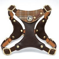 Harnais, collier et laisse pour chien en cuir résistant aux morsures, personnalisables avec logo, très populaires, pour les amoureux des chiens