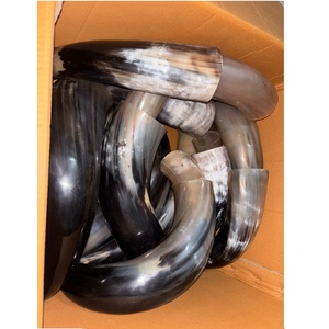 Corneta Vikinga Ecológica de Cuerno de Búfalo Natural para Señales - Product Image 1