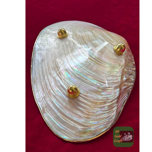 BANDEJA DE SERVICIO DE MADRE DE PERLA DE ALTA CALIDAD CON EL MEJOR PRECIO Y LUJO PARA EXPOSITOR DE HOGAR O RESTAURENT - Product Image 5