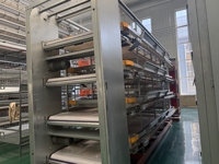 Nouveau système de cages à poulets automatiques de type H avec convoyeur de collecte des œufs, ligne d'alimentation et système d'abreuvement pour usage agricole
