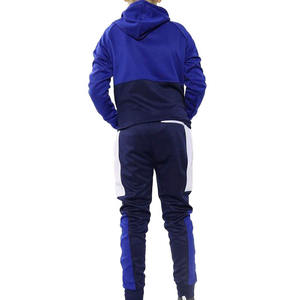 2024 Otoño Invierno Top marca de moda Sudadera con capucha y chándal Conjunto 2 uds logotipo personalizado transpirable 100% algodón polar Casual deporte para hombres - Product Image 6