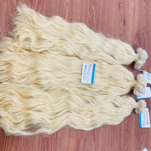 PRIX PAS CHER!!! Trame Extensions de cheveux Vietnam Cheveux humains #613 Super Double Drawn Cheveux vierges bruts - Product Image 3