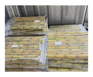 อ้อยแช่แข็งจำนวนมากทำความสะอาดล้างและตัดตามขนาดตัวเลือกที่ดีที่สุดสำหรับการผลิตน้ำผลไม้และการผลิตเครื่องดื่ม - Product Image 1