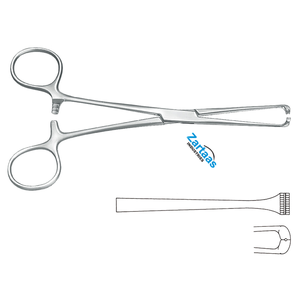Acero inoxidable de alta calidad STEINMANN TENDON SEIZING FORCEPS 16cm/6.(1/8)"Fabricante y exportador de instrumentos quirúrgicos - Product Image 2