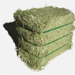 Timothy Alfalfa Hay อาหารโปรตีนสูงสำหรับสัตว์และปลาสำหรับโคหมูม้าสัตว์เลี้ยงบรรจุในก้อน - Product Image 2