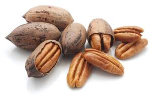 Pecans entiers salés cuits au four de haute qualité, riches en saveur et en nutriments, disponibles dès maintenant en vrac à un prix compétitif - Product Image 2