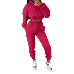 Conjunto de Sudadera Corta y Pantalones Deportivos Personalizados para Mujer, Ropa Deportiva Urbana, Parche Bordado, 100% Algodón, Tejido de Punto Sólido hasta la Rodilla - Product Image 4