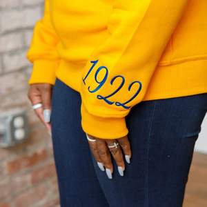 HBCU SGRho sweat-shirt chenille éduqué lettres brodées or et bleu mélange de coton de qualité supérieure Divine Nine Greek Life Apparel - Product Image 3