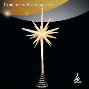 Décoration de noël et nouvel an, Champagne or acrylique 3D étoile à pointes - Product Image 1