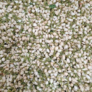 Flor de Jazmín de Origen Vietnamita, Material Vegetal Seco para Infusión de Té, Creación de Aromas y Decoración Artesanal Sostenible - Product Image 1