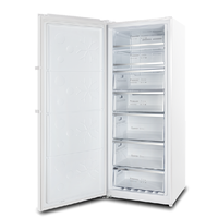 Congélateur Vertical Individuel Blanc/Noir/Argent 7,06 pi³/200 L, Congélateurs sur Pied pour Cuisine Domestique