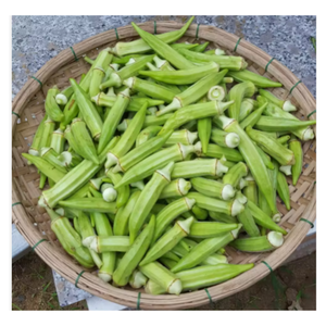 Exportador vietnamita de okra congelada, calidad premium, recién empaquetado para supermercados - Product Image 2