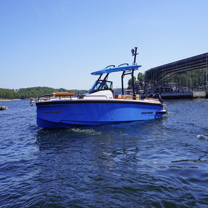 2025 A-x-o-p-a-r 29 S-u-n-T-o-p - Product Image 1