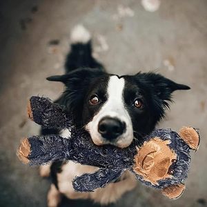 <strong>Wholesale</strong> Indestructible Plush Dog <strong>Toy</strong> | <strong>Durable</strong> Denim <strong>Chew</strong>-Resistant Bear | Squeaky Interactive <strong>Pet</strong> <strong>Toy</strong> for Aggressive Chewers - Product Image 5