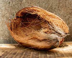 เส้นใยมะพร้าวธรรมชาติ - Product Image 1