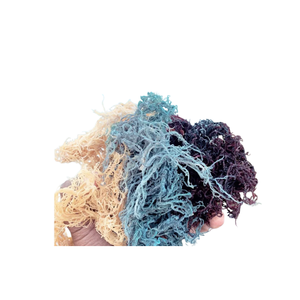 Seamoss <b>Raw</b> Powder/USA/EU Warehouse Bulk 100% Natural Seamoss Powder - Product Image 3
