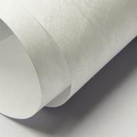 Vente en gros tissu Dupont papier Tyvek 1025d 1056d 1070d 1082d 1443r tissu en papier Tyvek imperméable de Chine pour la fabrication de sacs sac de bricolage