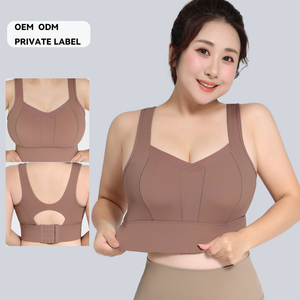 Hersteller von High-Support-Sport-BHs, OEM, ODM, Eigenmarke, Rückenverschluss, volle Abdeckung, breite Träger, Trainingskomfort - Product Image 1