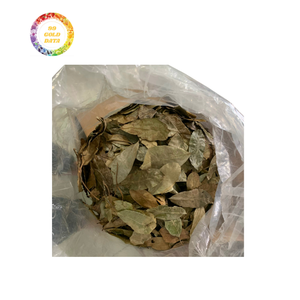 Feuilles de graviola séchées fiables et abordables pour l'exportation, qualité supérieure à des prix compétitifs pour les grosses commandes - Product Image 5