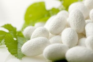 100% ขัดผิวด้วยไหมธรรมชาติและปราศจากสารเคมีคุณภาพระดับพรีเมี่ยมสำหรับการทำความสะอาดอย่างล้ำลึกและเพิ่มพื้นผิวด้วยทุกการใช้งาน - Product Image 3