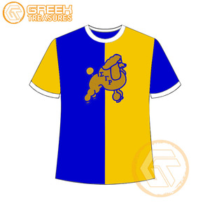 Venta al por mayor Sigma Gamma Rho mujeres camiseta hermandad ropa algodón Jersey alta calidad transpirable camiseta mujeres ropa griega - Product Image 1