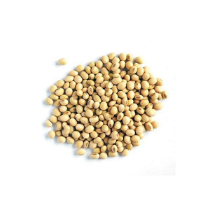 Soja sans OGM/fèves de soja, Graines de soja and Graines de soja - Product Image 4
