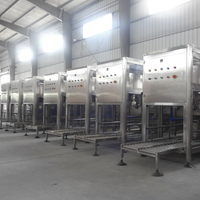 Máquina Llenadora de Líquidos Automática de Alta Eficiencia 200BPH, Bomba de Llenado de Botellas de Agua Pura para Bebidas con Sistema de Control Automático