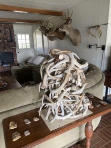 Poils naturels de bois de cerf rouge - Product Image 3