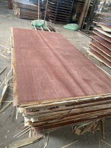 Tablero de Madera Contrachapada de Bintangor de Primera Calidad, Suministro de Fábrica de Vietnam - Product Image 2