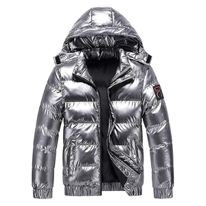 Men's Casual Winter Waterproof Hooded Puffer <b>Jacket</b> Warm Stand Collar Solid Zipper Windproof <b>Heated</b> Nylon OEM Service Front - Product Image 2