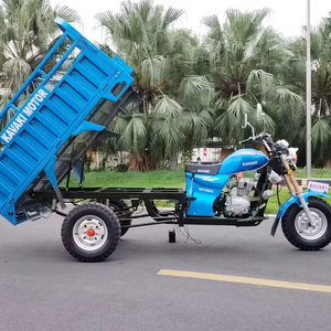 ราคาขายส่ง รถสามล้อไฟฟ้าบรรทุก 3 ล้อ 60v 1000W แบบเปิด ใช้สำหรับขนส่งสินค้า รถริกชอว์ รถกระบะขนาดเล็ก สำหรับผู้ใหญ่ - Product Image 1