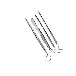 Kit de higiene bucal Cuidado dental Base de instrumentos quirúrgicos con herramientas de acero inoxidable para examen dental - Product Image 2