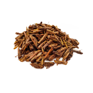 Fabrication en usine de divers aliments délicieux riches en protéines pour oiseaux et reptiles, grillons séchés, insectes séchés, sauterelles - Product Image 1