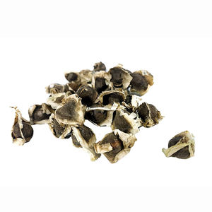 High Quality Wholesale <b>Moringa</b> <b>Seeds</b> Leaf Extract & Powder Belgium Origin 12 Months Shelf Life - Product Image 2