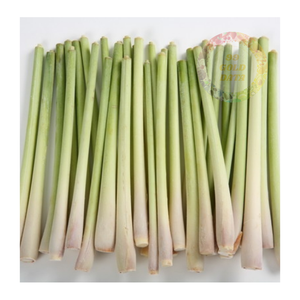 ตะไคร้แช่แข็งคุณภาพส่งออกจากเวียดนาม-สินค้าจำนวนมากสำหรับผู้จัดจำหน่ายและผู้นำเข้า-ราคาที่แข่งขันได้และรับประกันความสดใหม่ - Product Image 4