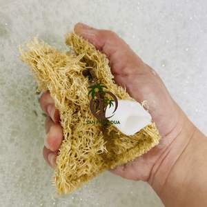 Esponja ecológica de alta calidad para decoración del hogar, utensilios de cocina de VIETNAM, venta al por mayor, esponja de coco - Product Image 4
