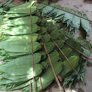 Ms Hana-Hoja de bambú espumada, embalaje biodegradable desechable para pastel - Product Image 5