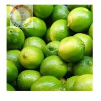 VIETNAM VENTE EN GROS FRAIS VERT LIME SANS GRAINES NATUREL AGRUMES QUALITÉ D'EXPORTATION MEILLEUR FOURNISSEUR
