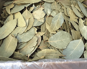 Hoja de laurel natural seca, ingrediente para procesamiento de alimentos, restaurantes y producción de salsas - Product Image 2