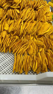 Fournisseur de mangues douces séchées du Vietnam fournissant des collations saines de qualité constante pour les chaînes de vente au détail internationales et les acheteurs - Product Image 3