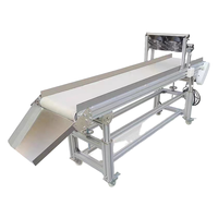 Zonlichtbestendige, op maat gemaakte, food-grade PVC transportband met dubbele laag en verstelbare snelheid voor de verwerking en transport van fruit en vis.