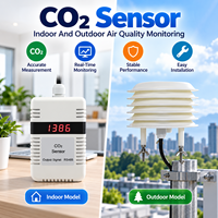 Sensor CO2 NDIR CDW-12A untuk Pemasangan di Dinding, Cocok untuk Rumah Kaca dengan Kelembapan Tinggi dan Penggunaan Gedung Pintar