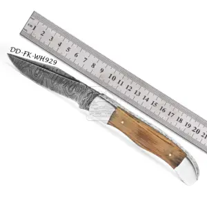 Wholesale Damascus Steel Pocket Knife DD-FK-WH929 Double Blade Handmade and Sharp Blade with Exotic Wood Handles for Outdoors