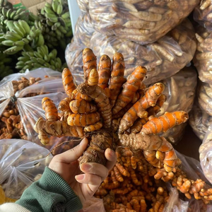 ขมิ้นสดแห้งจากเวียดนาม - Product Image 2