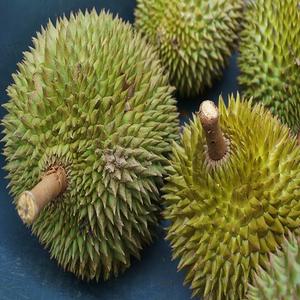 High Quality <b>Fresh</b> <b>Durians</b> Originated From Vietnam Deliciously Fatty and Sweet - Product Image 2
