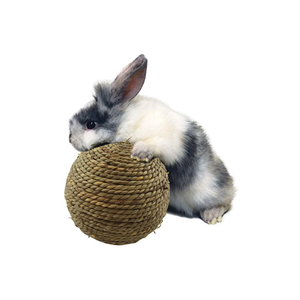 Nuevos artículos, bola trenzada para masticar, conejillo de indias, conejo, hámster, Animal pequeño, juguete interactivo para masticar, Bola de hierba Natural - Product Image 1