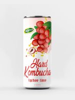 Oem Mousserende Harde Kombucha 250Ml/320Ml/500Ml Blikjes Natuurlijke Mango Appel Ananas Guave Fruit Smaken Groentesap