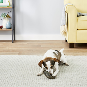 <b>Dog</b> Pet Food Manufacturer Feeders Natural Water Buffalo Pet Food 100% Natural & Healthy Water Buffalo Horn for <b>Dog</b> Food Chew - Product Image 6