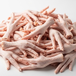 Patas de pollo congeladas, proveedores mayoristas que ofrecen suministros de exportación a granel para restaurantes, supermercados y minoristas - Product Image 5